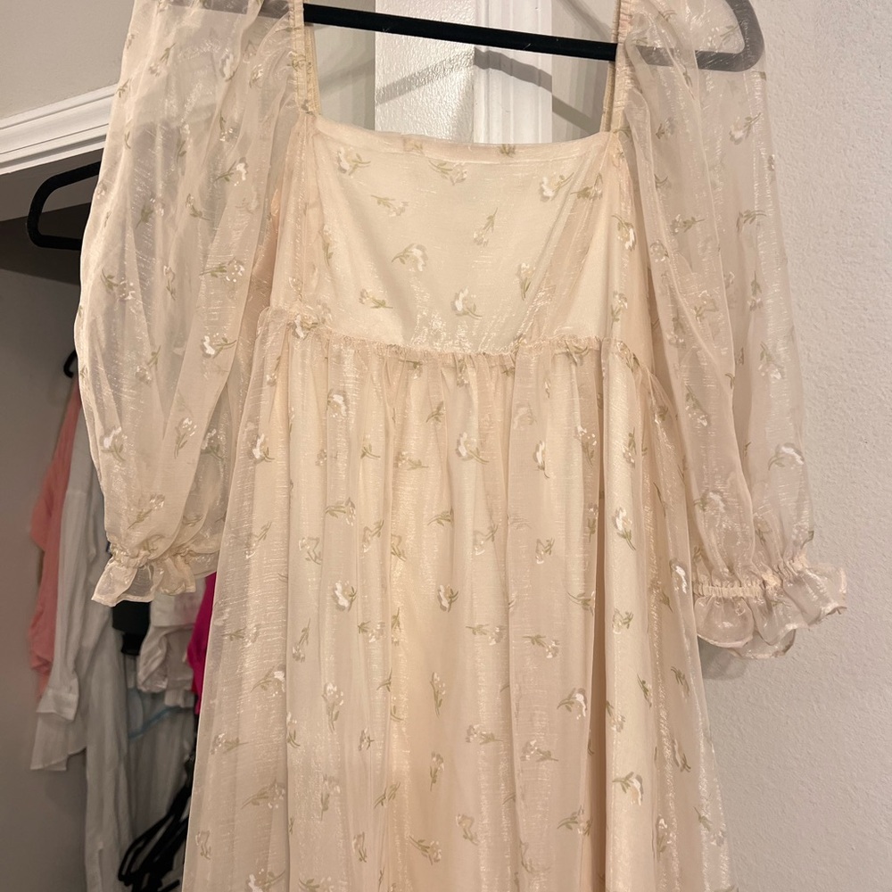 Elegant Cream Sheer Sleeve Dress